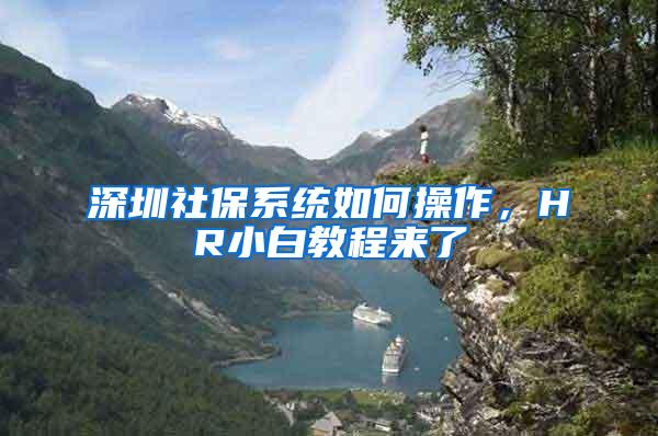 深圳社保系统如何操作，HR小白教程来了
