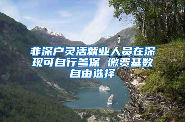 非深户灵活就业人员在深现可自行参保 缴费基数自由选择