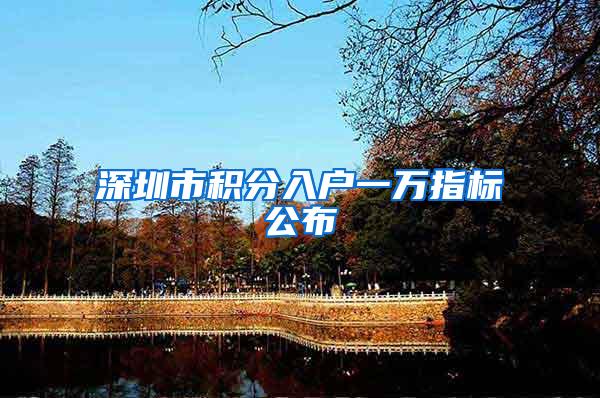 深圳市积分入户一万指标公布