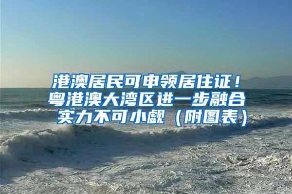 港澳居民可申领居住证！粤港澳大湾区进一步融合 实力不可小觑（附图表）