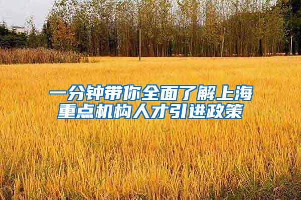 一分钟带你全面了解上海重点机构人才引进政策