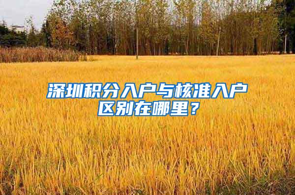 深圳积分入户与核准入户区别在哪里？