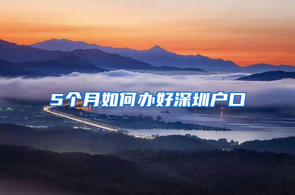 5个月如何办好深圳户口