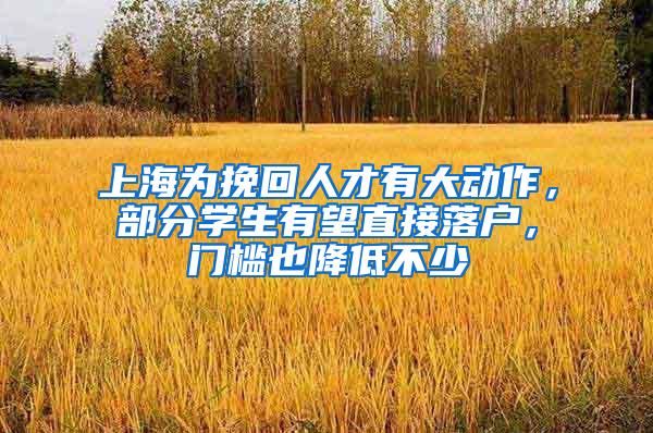 上海为挽回人才有大动作，部分学生有望直接落户，门槛也降低不少