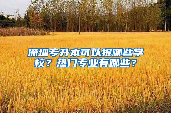 深圳专升本可以报哪些学校？热门专业有哪些？