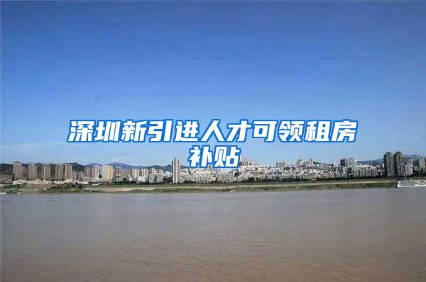 深圳新引进人才可领租房补贴