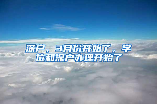 深户，3月份开始了，学位和深户办理开始了