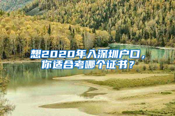 想2020年入深圳户口，你适合考哪个证书？
