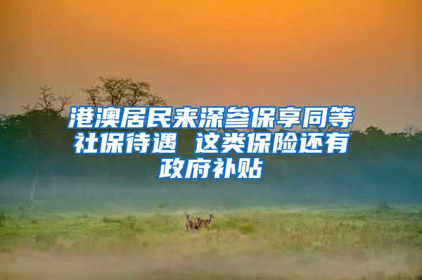 港澳居民来深参保享同等社保待遇 这类保险还有政府补贴