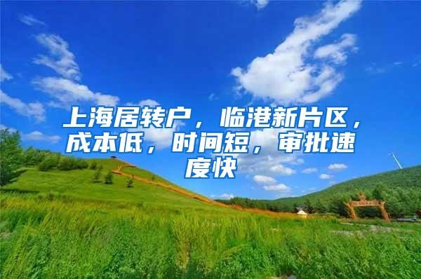 上海居转户，临港新片区，成本低，时间短，审批速度快