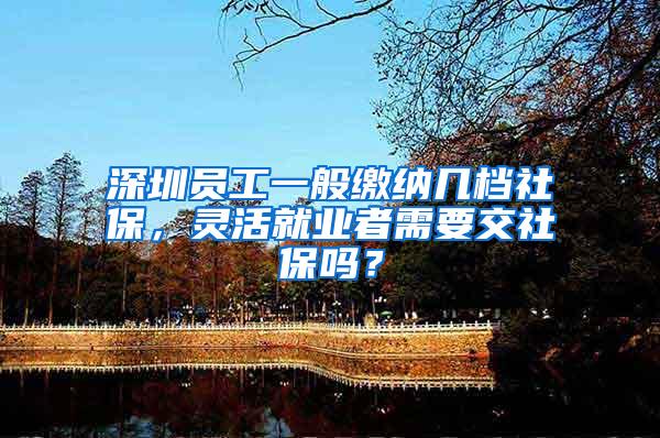 深圳员工一般缴纳几档社保，灵活就业者需要交社保吗？