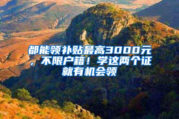 都能领补贴最高3000元，不限户籍！学这两个证就有机会领