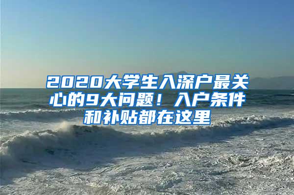 2020大学生入深户最关心的9大问题！入户条件和补贴都在这里