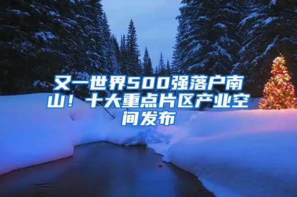又一世界500强落户南山！十大重点片区产业空间发布
