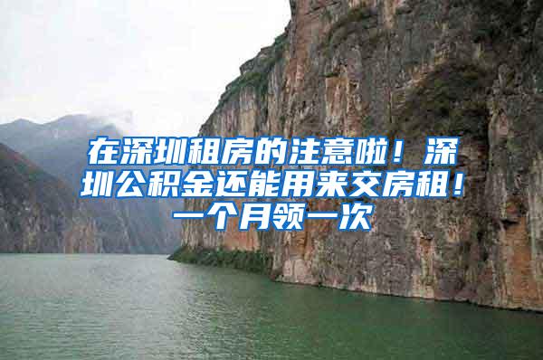 在深圳租房的注意啦！深圳公积金还能用来交房租！一个月领一次
