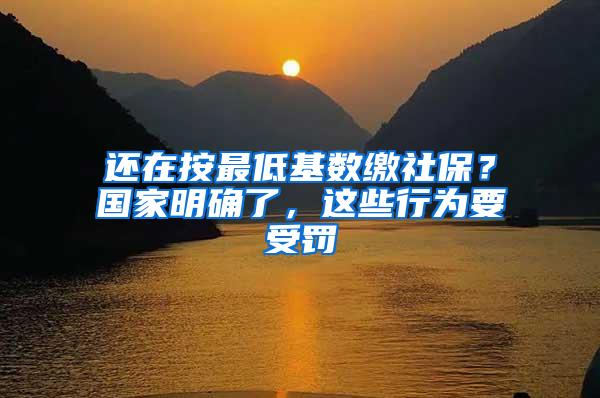 还在按最低基数缴社保？国家明确了，这些行为要受罚