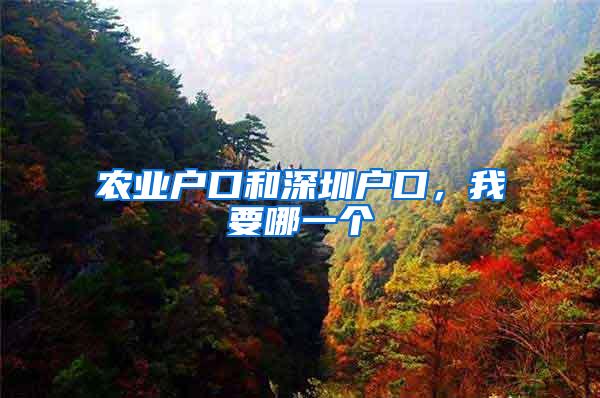 农业户口和深圳户口，我要哪一个