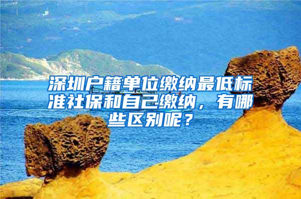深圳户籍单位缴纳最低标准社保和自己缴纳，有哪些区别呢？