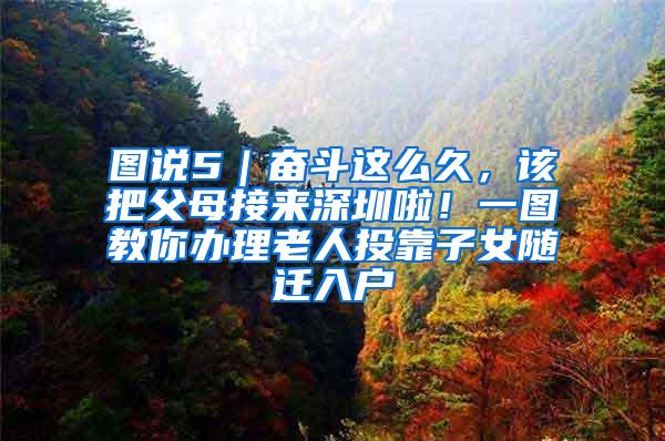 图说5｜奋斗这么久，该把父母接来深圳啦！一图教你办理老人投靠子女随迁入户