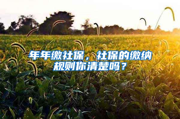 年年缴社保，社保的缴纳规则你清楚吗？