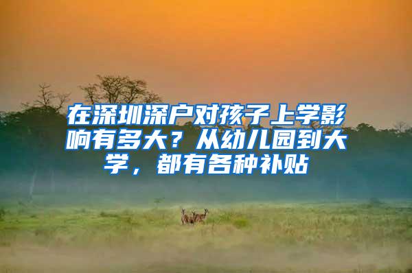 在深圳深户对孩子上学影响有多大？从幼儿园到大学，都有各种补贴