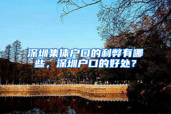 深圳集体户口的利弊有哪些，深圳户口的好处？