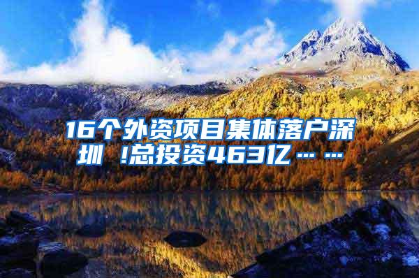 16个外资项目集体落户深圳 !总投资463亿……