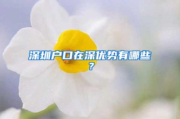 深圳户口在深优势有哪些？