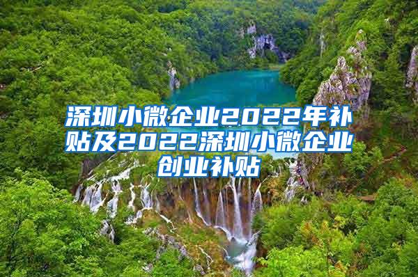 深圳小微企业2022年补贴及2022深圳小微企业创业补贴