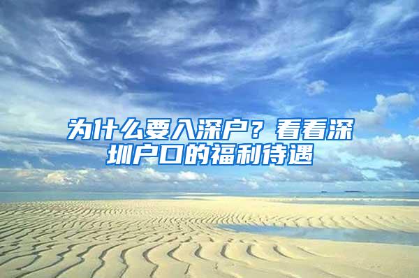 为什么要入深户？看看深圳户口的福利待遇