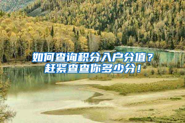 如何查询积分入户分值？赶紧查查你多少分！