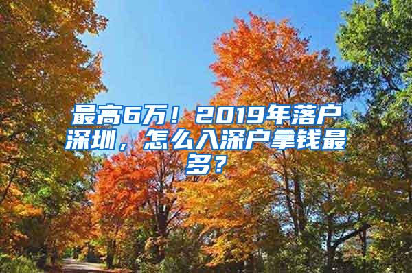 最高6万！2019年落户深圳，怎么入深户拿钱最多？