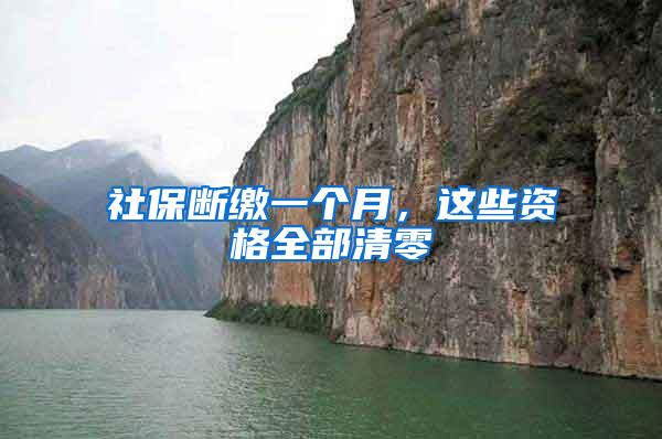社保断缴一个月，这些资格全部清零