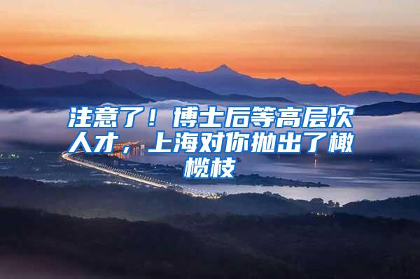 注意了！博士后等高层次人才，上海对你抛出了橄榄枝→