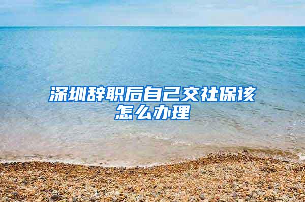 深圳辞职后自己交社保该怎么办理