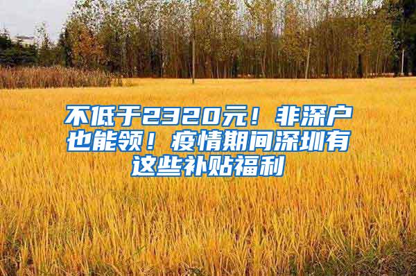 不低于2320元！非深户也能领！疫情期间深圳有这些补贴福利