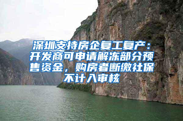 深圳支持房企复工复产：开发商可申请解冻部分预售资金，购房者断缴社保不计入审核