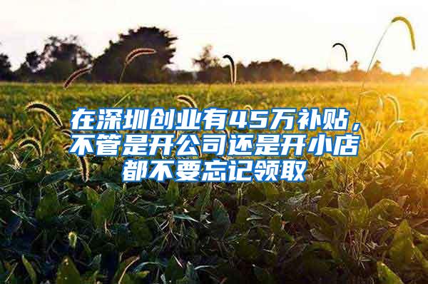 在深圳创业有45万补贴，不管是开公司还是开小店都不要忘记领取
