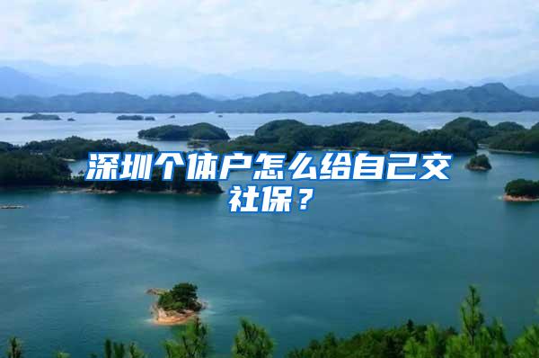 深圳个体户怎么给自己交社保？
