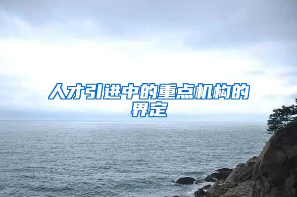 人才引进中的重点机构的界定