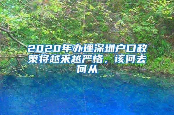 2020年办理深圳户口政策将越来越严格，该何去何从