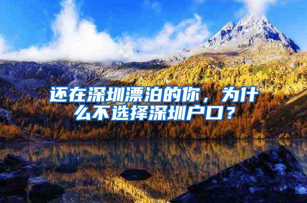 还在深圳漂泊的你，为什么不选择深圳户口？