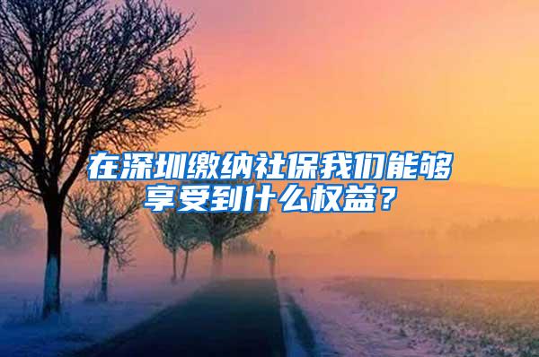 在深圳缴纳社保我们能够享受到什么权益？
