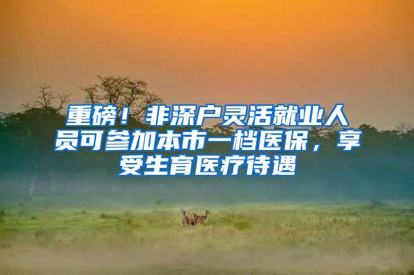 重磅！非深户灵活就业人员可参加本市一档医保，享受生育医疗待遇