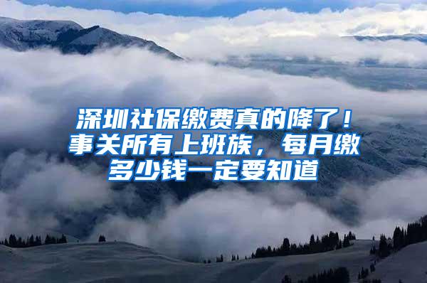 深圳社保缴费真的降了！事关所有上班族，每月缴多少钱一定要知道