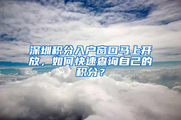 深圳积分入户窗口马上开放，如何快速查询自己的积分？