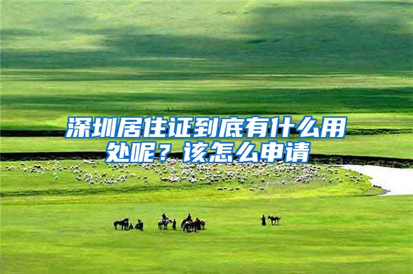 深圳居住证到底有什么用处呢？该怎么申请