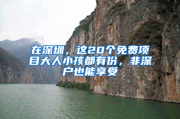 在深圳，这20个免费项目大人小孩都有份，非深户也能享受