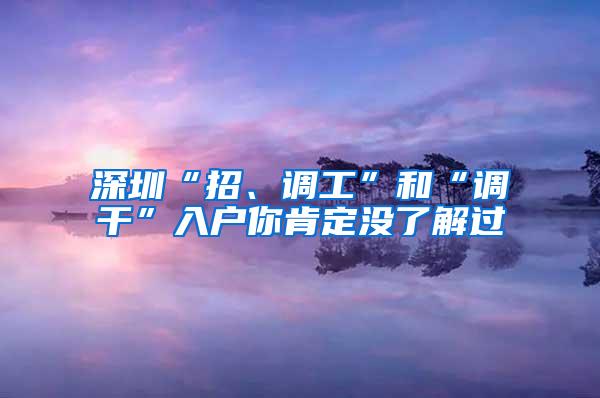 深圳“招、调工”和“调干”入户你肯定没了解过