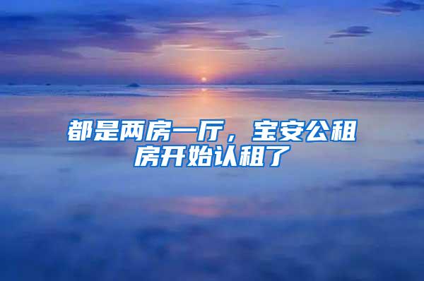 都是两房一厅，宝安公租房开始认租了